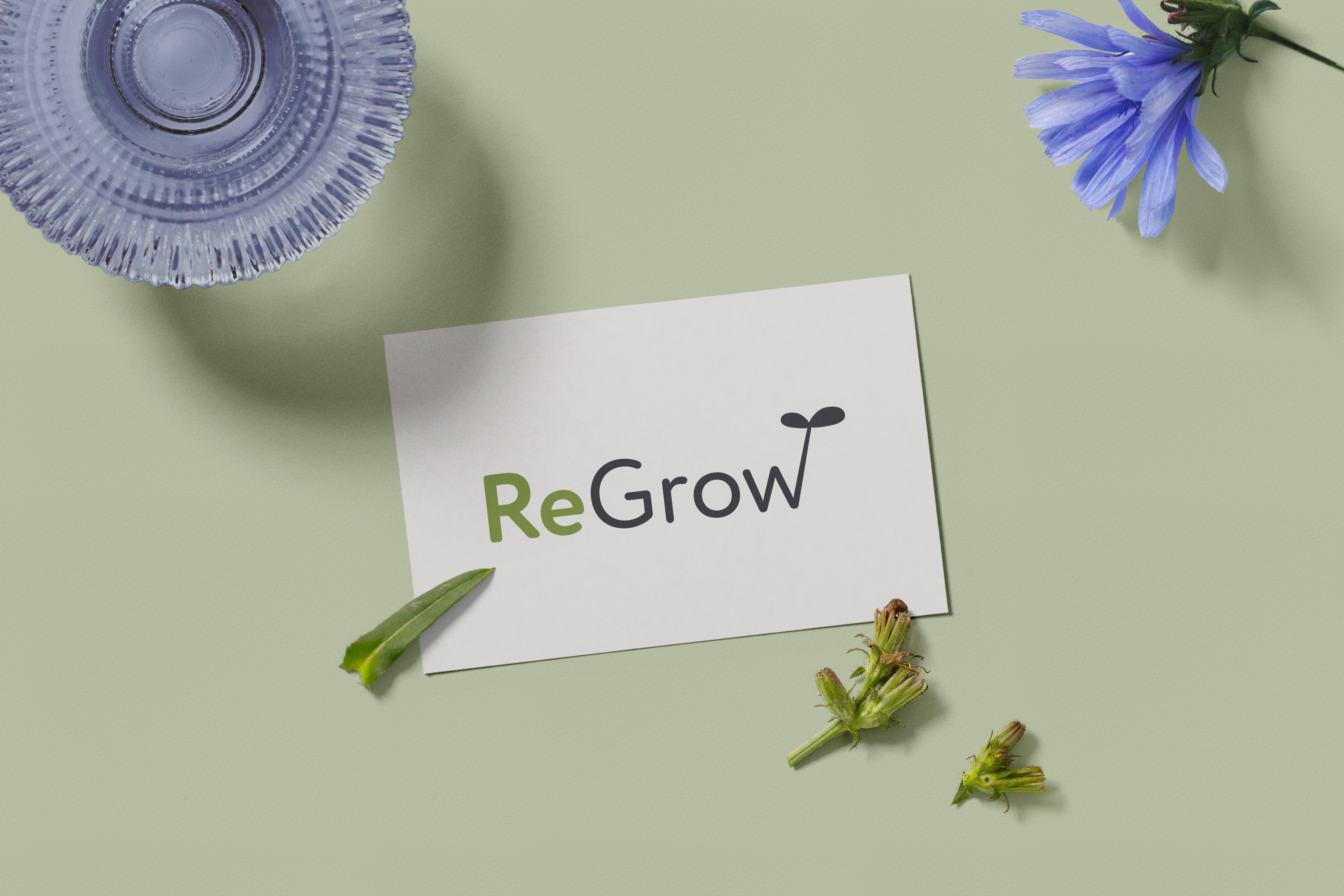 Regrow business card mockup